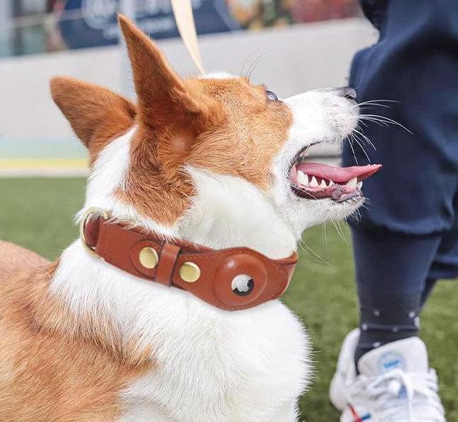Pet Patrol™ Leather Dog Collar with Airtag Holder